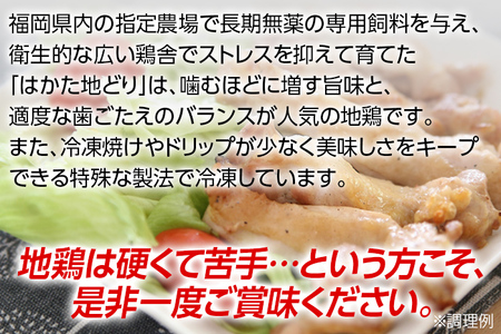 福岡県産地鶏「はかた地どり」もも肉(約1kg) お取り寄せグルメ お取り寄せ 福岡 お土産 九州 ご当地グルメ 福岡土産 取り寄せ 福岡県 食品
