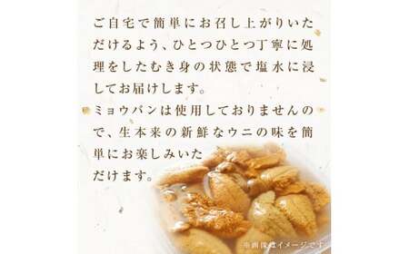 ＜先行予約：2026年5月下旬以降順次発送＞ 生うに 160g（80g×2）塩水 宮城県産 生ウニ 雲丹 うに ウニ