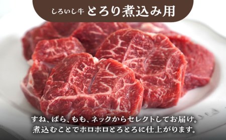 食卓バラエティセット（切り落とし 500g＆とろり煮込み用 700g）/ 牛肉切り落とし [IAH196]