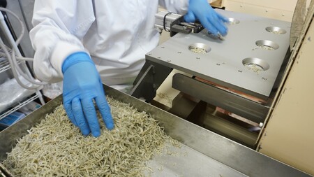 そのまんま貝柱 10個セット せんべい 貝柱 いたや貝 素材本来の味 お酒のお供 オカベ｜B134