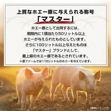 北海道十勝のグルメ!ホエー豚の豚丼セット(4人前)_肉  豚肉 _【配送不可地域：離島】【1396962】