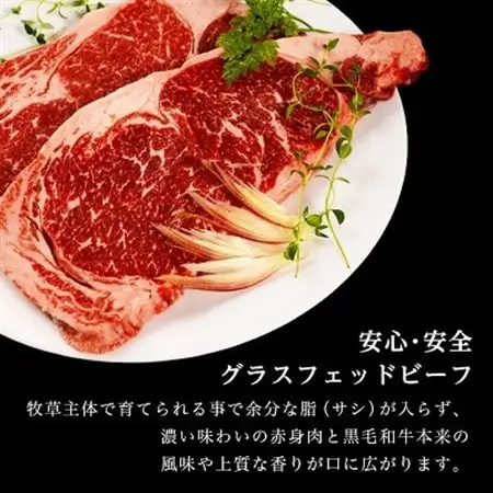 和牛道ハンバーグ120g×6食セット 北海道 大樹町 国産 黒毛和牛 グラスフェッドビーフ_肉 ハンバーグ 牛肉 _【配送不可地域：離島】【1397514】