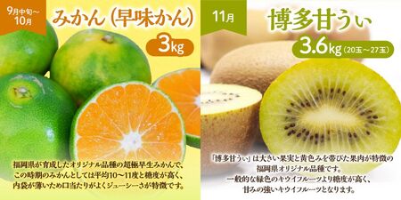 【定期便/年４回】フルーツ 旬の福岡フルーツ定期便_HB0087