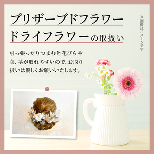 成人式　結婚式　髪飾り「結」ベージュ系 長期間楽しめる！ 髪飾り ヘアアクセ ヘア アクセサリー 成人式 卒業式 入学式 結婚式 和装 洋装 花 プリザーブドフラワー ドライフラワー アジサイ かすみ草 結 ベージュ 晴れの日 華やか ヘッドパーツ 送料無料 お取り寄せ 生駒市