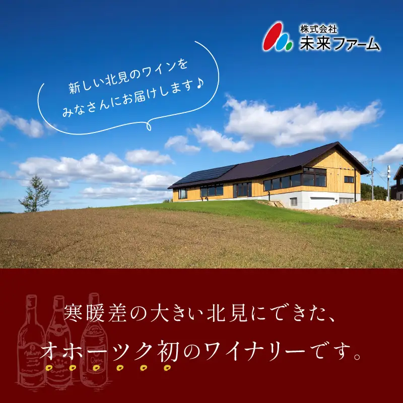 《14営業日以内に発送》ナイアガラ2本セット ( ワイン お酒 酒 ぶどう セット )【138-0015】