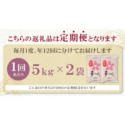 Z17-88 寄附額改定↓↓ 無洗米 福岡県産・夢つくし10kg定期便(毎月・年12回)