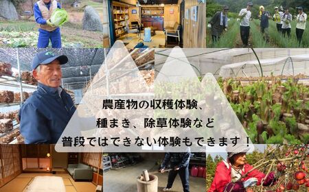 農家民宿ペア 宿泊券 1泊2日2食付き 農業体験込 2万円分【東和地域グリーンツーリズム推進協議会】
