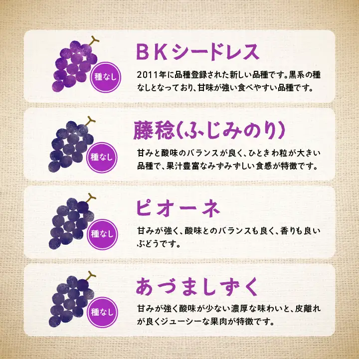 《2026年9月初旬以降順次発送》羽山のぶどう 品種おまかせ 2房（1.4kg）【羽山果樹組合】