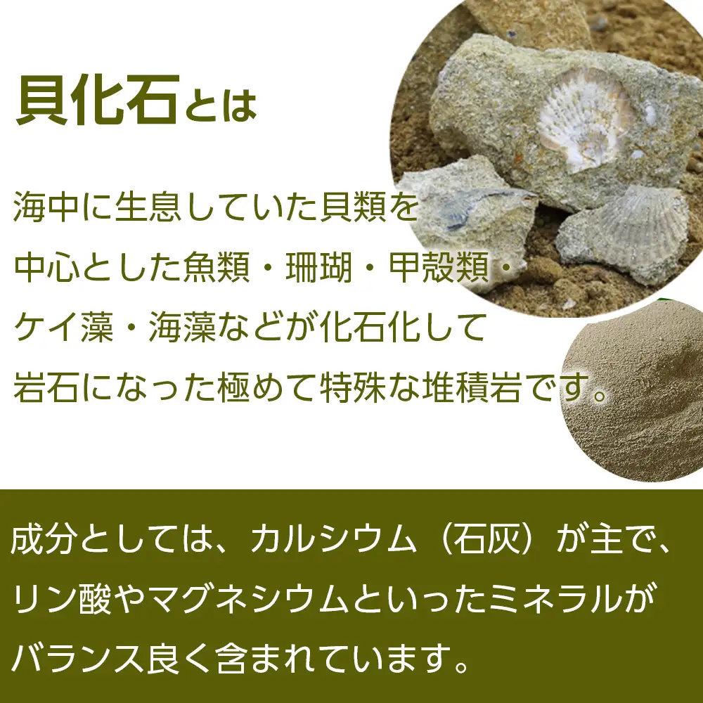 肥料 貝化石 20kg 2袋