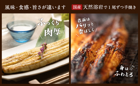 浜名湖産 朝じめ鰻 溶岩焼き コンビセット 約140g×2尾（蒲焼き 1尾・白焼き 1尾） 熟練 職人 国産 天然溶岩 手焼き 鰻専門店 焼きたて 美味しい 冷蔵便 極上 ふわとろ 食感 