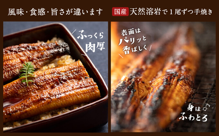 うなぎ 浜松 溶岩焼き 蒲焼き 5尾 (約140g×5尾) 朝じめ 鰻 タレ セット 土用の丑の日 丑の日 国産うなぎ 浜松うなぎ 浜名湖うなぎ 国産 蒲焼 ギフト プレゼント 贈答 レンジ 調理 レンチン 夏バテ防止 浜名湖 産地直送 冷蔵 冷蔵配送 静岡県 浜松市