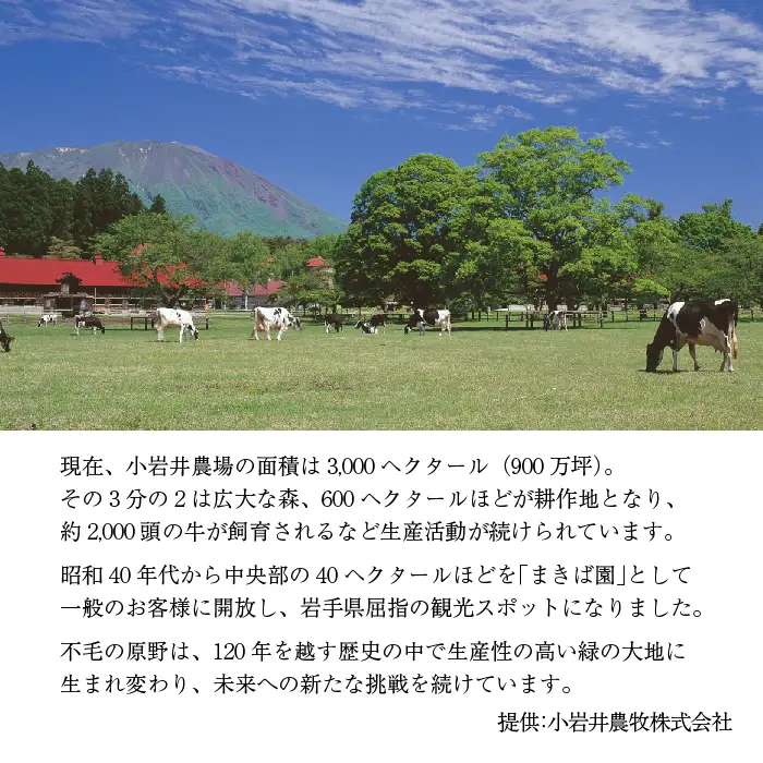 小岩井農場 小岩井純良バター 復刻版ラベル 3個 セット ／ 人気 バター 醗酵バター 本格派 ヨーロッパタイプ 限定品 限定ラベル 乳製品 個包装 小分け お取り寄せ ギフト プチギフト 贈答用 贈り物 プレゼント お祝い パーティー お土産 手土産 誕生日 記念日 冷蔵 おすすめ