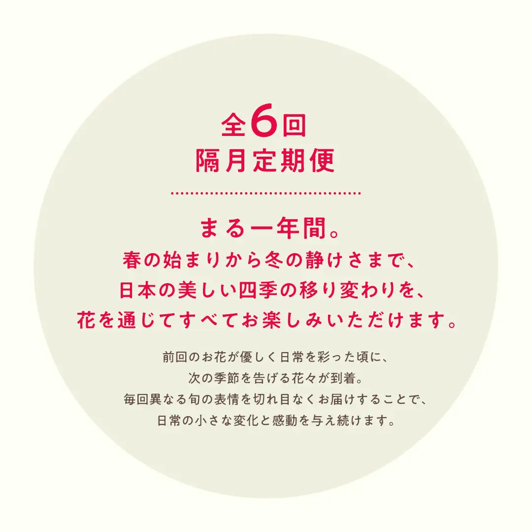 【お花の 定期便 】「隔月」届く、季節の フラワー アレンジメント ( 合計 6回 ) 花 生花 ギフト お祝い 結婚祝い 誕生日 プレゼント 花 生花 ギフト フラワーギフト [CY004sa]