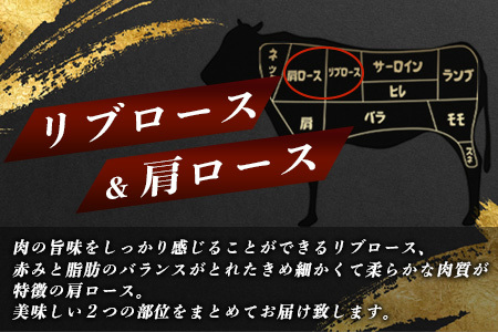 佐賀牛 リブロース スライス ＆ 佐賀牛 肩ロース スライス (合計650g) 【黒毛和牛】D-180