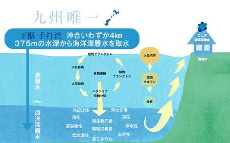 竜宮伝説(硬度100) 2L×6本 こしき海洋深層水 AS-7106