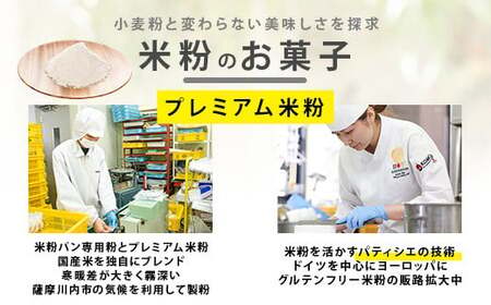 フランス・レジョン・ウィッチ AS-936