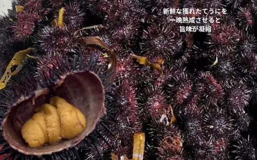 8-017-001　ましけの塩うに（バフン・ノナ）セット
