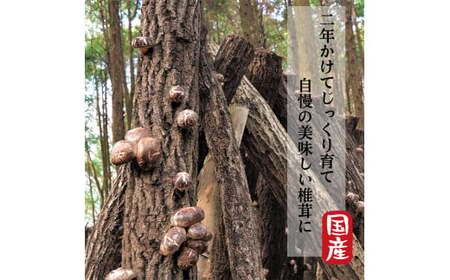 A8-014 特選！乾燥しいたけ(150g×3袋) 【かごジン】霧島市 国産 野菜 きのこ キノコ 椎茸 しいたけ 乾燥シイタケ 乾椎茸 原木栽培 小分け セット 九州産 