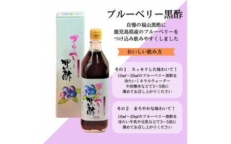 B2-018 黒酢ドリンク(ブルーベリー黒酢(700ml×2本))【かごジン】霧島市 黒酢 酢 お酢 ビネガー 食用酢 フルーツ くだもの ブルーベリー セット