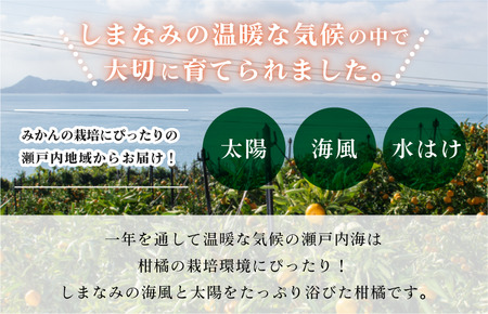 【先行予約】デコポン L～3L 18～24玉 JAおちいまばり　2027年2月中旬～3月中旬発送【KB02510】