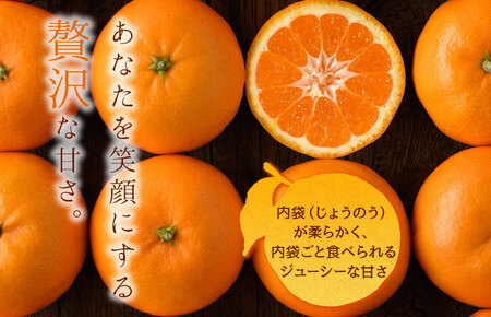 【先行予約】瀬戸の晴れ姫4kg [KC01230] 2026年12月中旬～2027年1月中旬に順次発送予定 愛媛県産 愛媛県 期間限定 はれひめ 果物ふるさと 愛媛みかん 甘いみかん 果物 故郷納税フルーツ ふるさと納税ふるーつ ふるさと納税ミカン ふるさと納税愛媛みかん みかん箱買い JA [毎年売切れ]