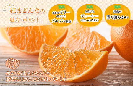 【先行予約】 紅まどんな 今治 3L～L 10～15玉 化粧箱入り