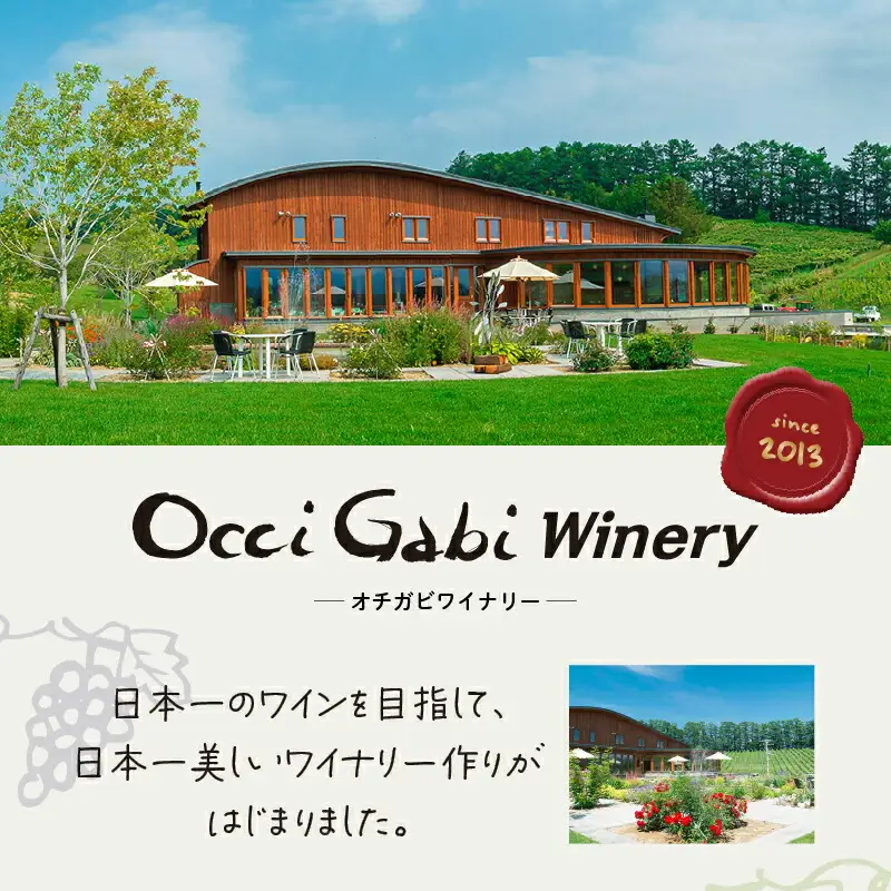 【OcciGabi Winery】ルージュ・スパークリング 【余市のワイン】 ワイン 赤ワイン スパークリングワイン ドルンフェンダー レゲント 余市のワイン 北海道のワイン 日本のワイン 国産ワイン お酒 _Y012-0099