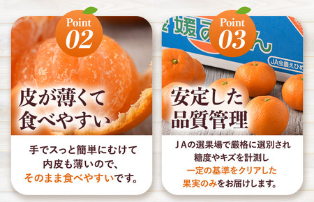 【先行予約】温州みかん 10kg【KC00760】 2026年11月下旬～12月下旬に順次発送予定 期間限定 ふるさと納税ミカン 温州ミカン 甘いみかん 愛媛みかん 果物 フルーツ ふるさと納税フルーツ 愛媛ふるさと納税 愛媛県ふるさと納税 JA