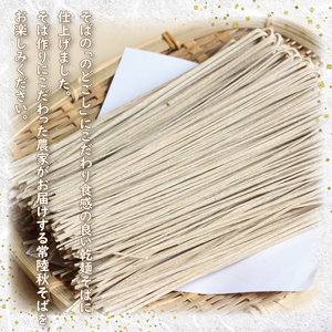 【茨城県共通返礼品／桜川市】《お中元》贈答用・熨斗付【常陸秋そば】常陸そば乾麺 6袋(ご贈答用つゆ付)｜そば 乾麺 常陸秋そば 茨城県共通返礼品 桜川市 お中元 贈り物 ギフト 茨城県 行方市(DX-32-1)