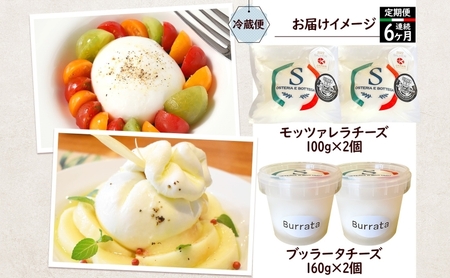 【6ヶ月定期便】自家製 チーズ 詰め合わせ モッツァレラチーズ 100g  ブッラータチーズ180g 各2個 出来立て 神奈川県産 幻のチーズ  モッツァレラ ブッラータ 手作り Osteria e Bottega S 神奈川県 湘南 茅ケ崎 フレッシュチーズ  おつまみ ピザ