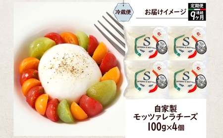 9ヶ月定期便 出来立て新鮮 モッツァレラチーズ100g  ×  4個セット 茅ケ崎産 加工食品 乳製品 チーズ 出来立て 神奈川県産 モッツァレラ 手作り Osteria e Bottega S 神奈川県 湘南 茅ケ崎 フレッシュチーズ  おつまみ ピザ