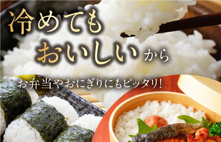 【令和7年産】【2025年11月10日から順次発送】今治産 米（ひめの凜）5kg【VB01580】米 お米 コメ おこめ 白米 精米 ごはん ご飯 ひめの凜 愛媛県産 今治産 米