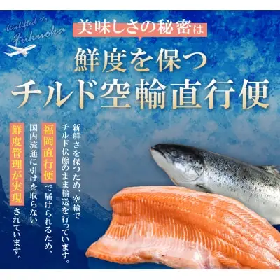 Y61-59 スモークサーモン 1kg保証 