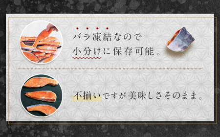 訳あり 銀鮭 切身 甘口 (不揃い) 約2.8kg 鮭 冷凍 ss00004