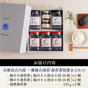 兵庫加古川産 一番摘み海苔(海苔香佃煮B-2セット)《 のり 海苔 佃煮 一番摘み 海苔セット 》【2503D01302】