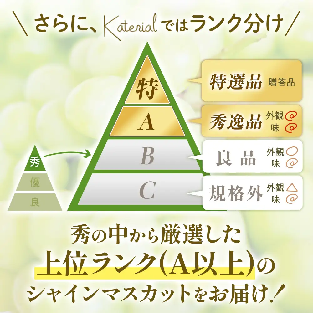 シャインマスカット 2房 1.2㎏相当 山梨シャインマスカット