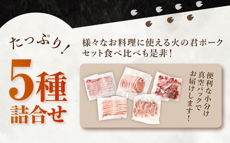 熊本県産 火の君ポークR 詰合せ 計約2kg 豚肉 肉 ブランド豚 豚こま ロース 肩ロース バラ 生姜焼き 焼肉 冷