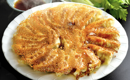 【3ヶ月定期便】 餃子の王国 黒豚 生餃子 105個×3ヶ月 255g（15個）×7パック ×3回