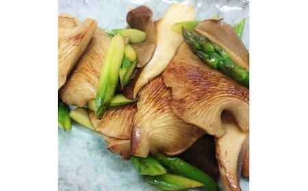 足太あわび茸（生）１kg