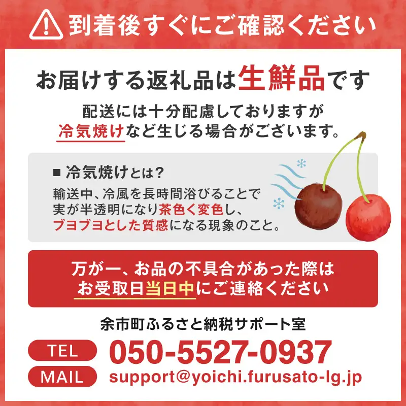 【先行予約2026年7月上旬より発送】余市の砂川果樹園が贈る もぎたて直送さくらんぼ 佐藤錦 1kg箱_Y033-0038