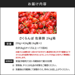 【先行予約2026年7月上旬より発送】余市の砂川果樹園が贈る もぎたて直送さくらんぼ 佐藤錦 2kg箱_Y033-0039