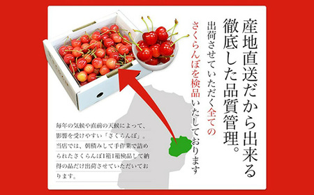 《先行予約 2026年6月中旬発送》 山形県産 さくらんぼ 紅秀峰 秀品 2L玉 700gパック 化粧箱入り FSY-2200