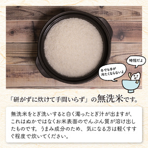 【令和7年産】定期便 ≪2ヶ月連続お届け≫ 福井県のブランド米 いちほまれ 無洗米 5kg × 2回 計10kg 【 無洗米 人気 品種 ブランド米 特A 】 [C-6113]