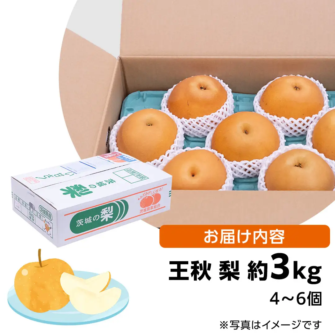 王秋梨 約3kg 4玉～6玉 (茨城県共通返礼品:城里町) 2026年 梨 なし 和梨 フルーツ 甘い お正月 クリスマス 大玉 直送 茨城 限定 [CO009sa]