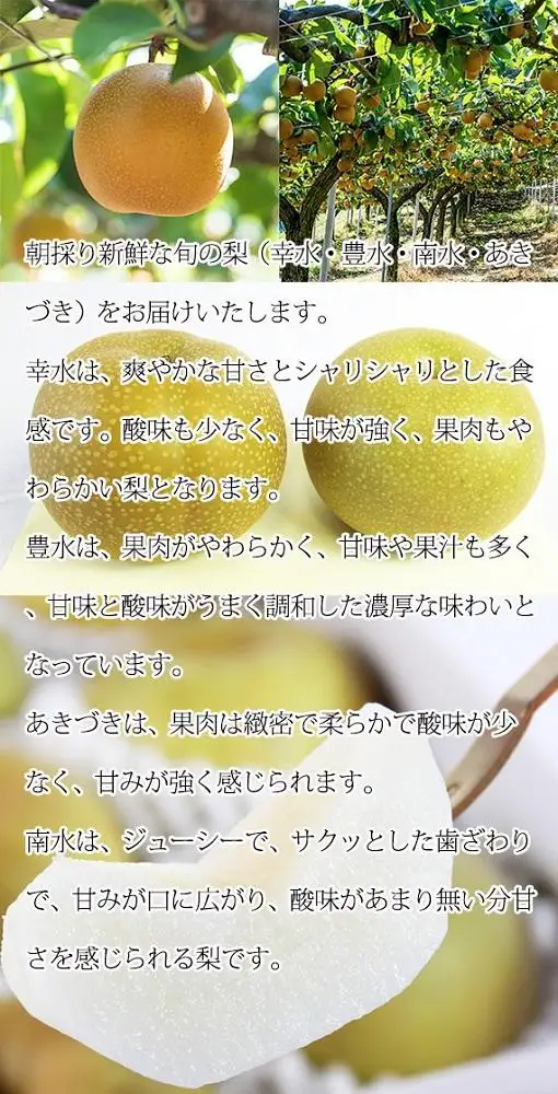 ジューシー果汁の紀州有田産の梨　３玉　化粧箱入【先行予約】【2026年8月中旬以降発送予定】