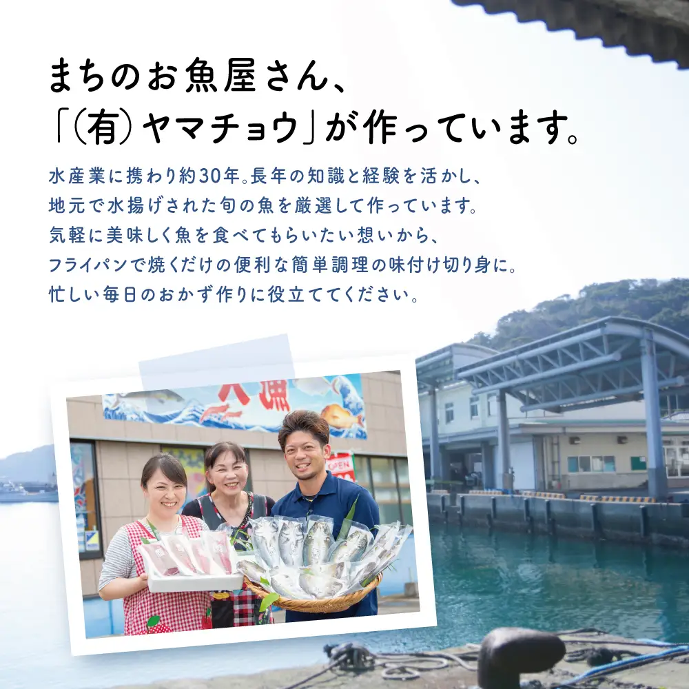 【漁師の手作り】小分けで便利！味付け切身の詰め合わせ 10P（5種×2P）10パック 食べ比べセット 鹿児島県産 魚介 おまかせ(ぶり しいら 鯛 あじ かつお イサキ等)照焼き 西京漬け バジルソース レモンペッパー ガーリックペッパー フライパン調理 ギフト