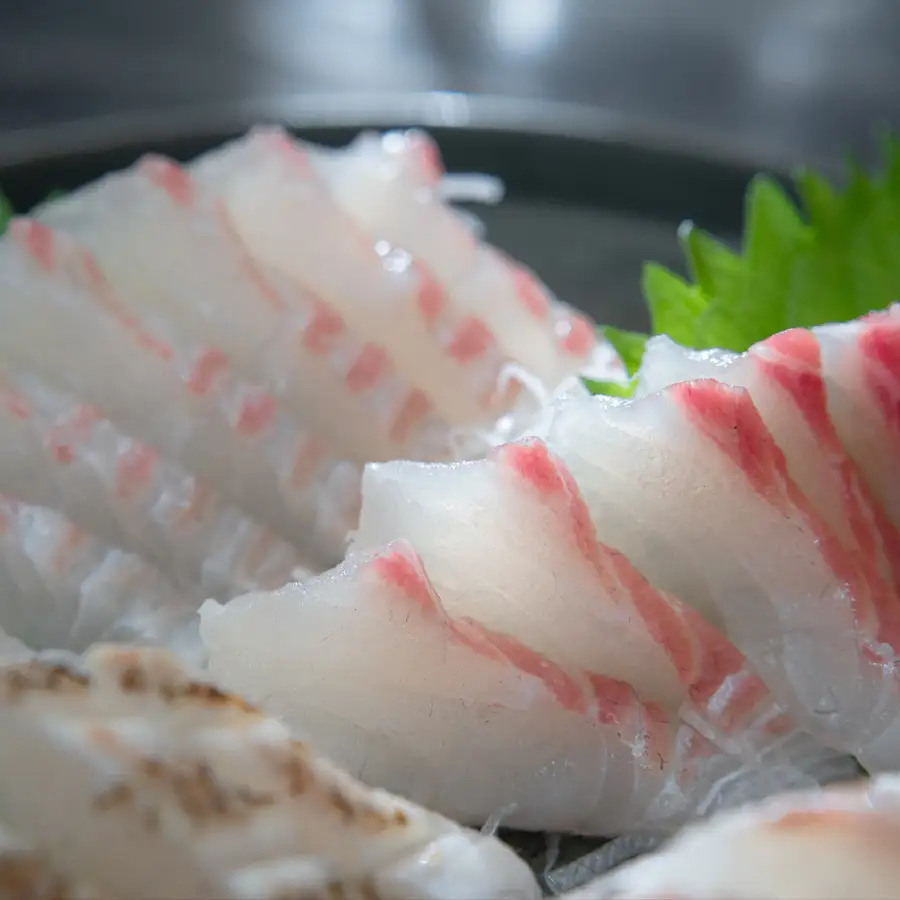 【先行受付】 朝獲れ 真鯛 フィーレ 皮なし 500g以上 刺身 冷蔵 養殖 たい タイ マダイ セット 真空パック 産地直送 当日発送 鮮度抜群 鯛めし 鯛丼 海鮮丼 カルパッチョ お取り寄せ ギフト 贈答 はやぶさ水産 四国 高知県 大月町 柏島産