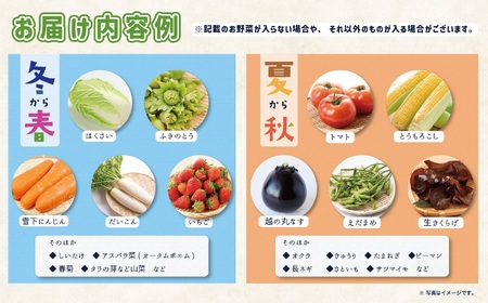 直売所からお届け！旬の野菜セット【隔月3回お届け】（8～10品詰め合わせ）JA 新鮮な野菜直送  糸魚川 新潟【大根･白菜･春菊･アスパラ菜･しいたけ･ほうれん草･ふきのとう･タラの芽･山菜･にんじん･イチゴ･トマト･きゅうり･ピーマン･ジャガイモ･玉ねぎ･オクラ･枝豆･トウモロコシ･なす･生きくらげ･長ネギ･サツマイモ･里芋】