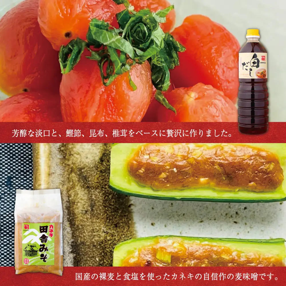【蔵元直送】鹿児島の調味料詰合せ（5種） 醤油 甘口 だし めんつゆ 酢 味噌 煮物 天ぷら そうめん 鍋物 ギフト 贈答用 常温 南さつま市