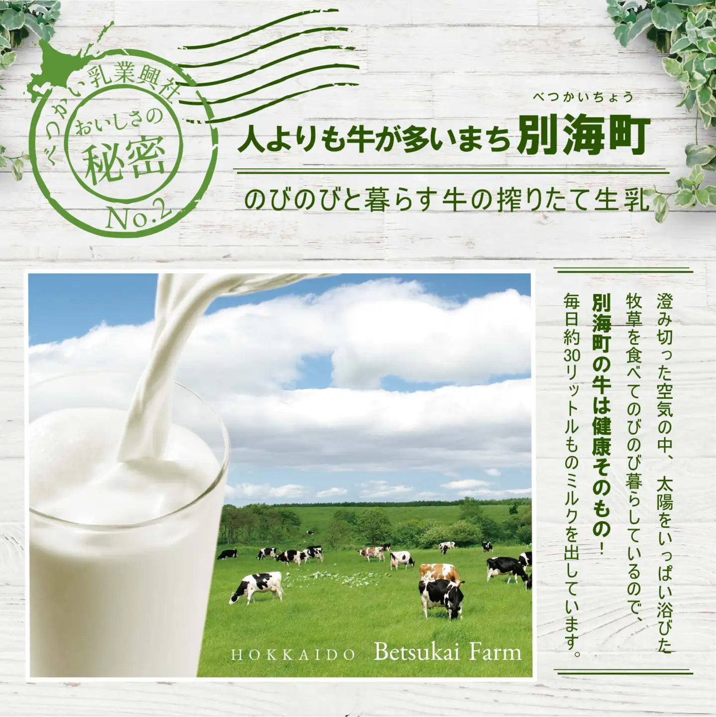 べつかいの牛乳屋さん1L 6本入 (高島屋選定品) （ 牛乳 北海道 別海町 人気 ふるさと納税 ）